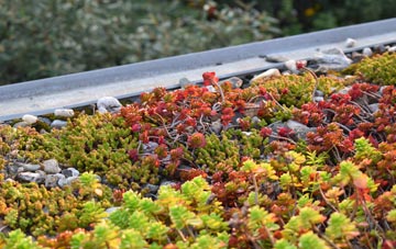 the cost of Askham green roof installation