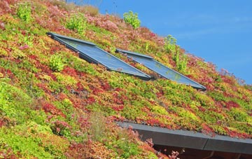 Askham living roof systems